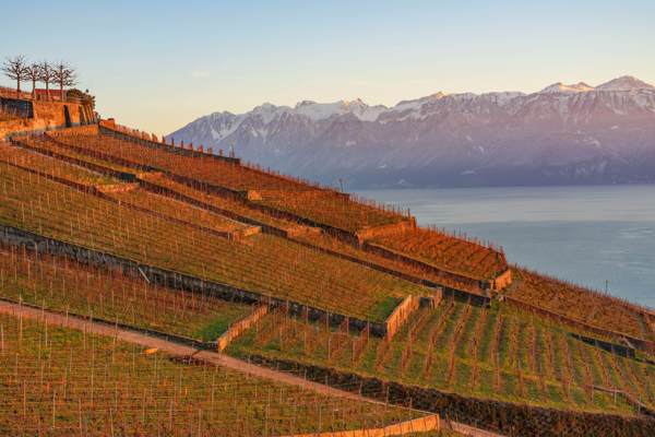 CALENDRIER PERPETUEL DU LAVAUX