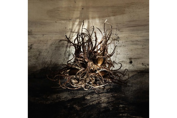 Pictures of the moment