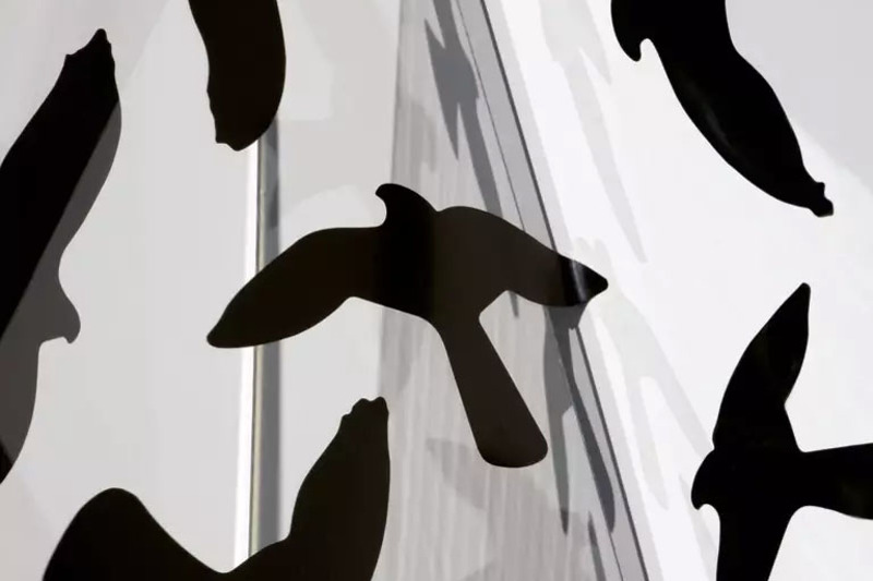 Exposition SAUVAGES - Laurence Kubski