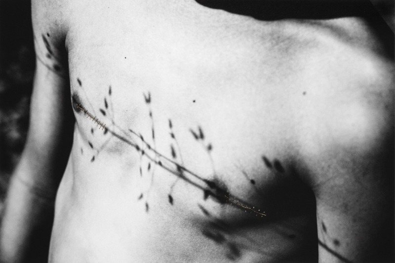 Binding Roots - Aimée Hoving 