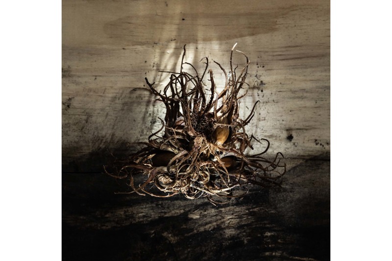 Pictures of the moment