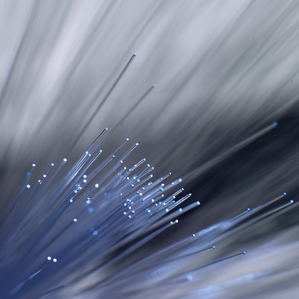 Broadband Creativity