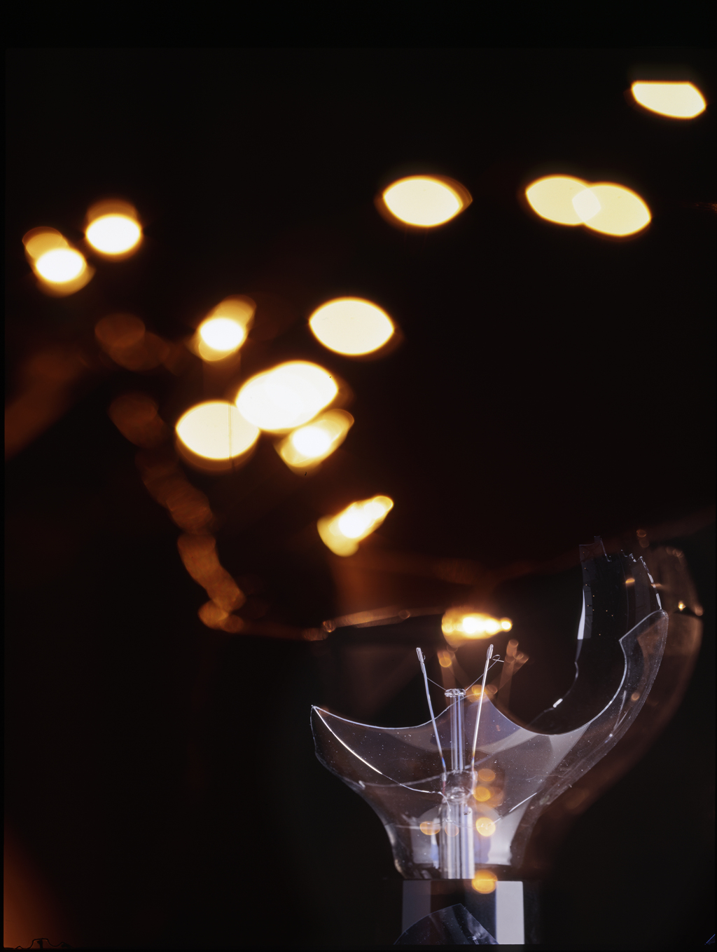 Light Bulb's story 2012