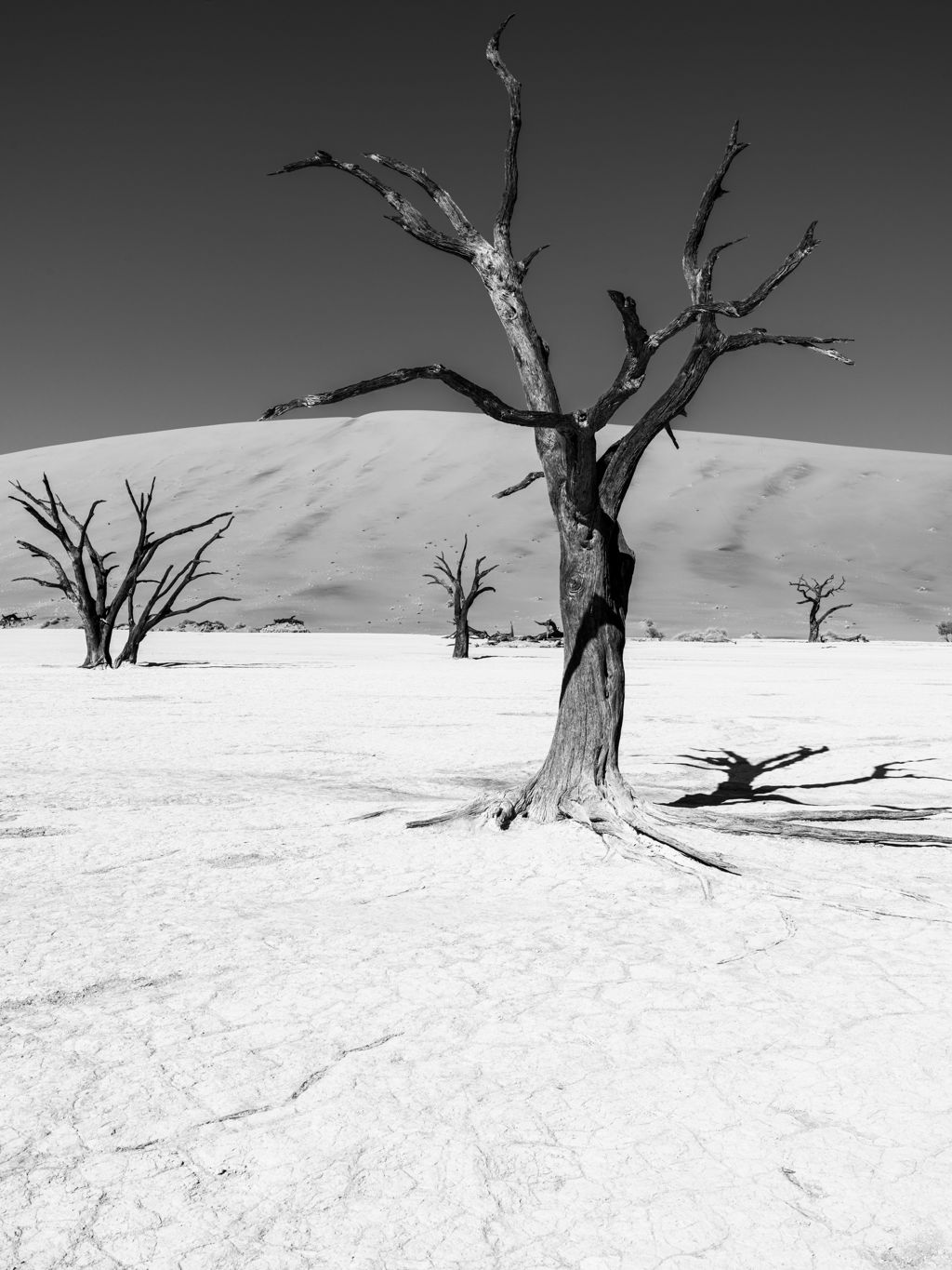 Namibie 2025